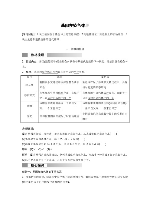 高中生物新教材必修第二册教案讲义：基因在染色体上