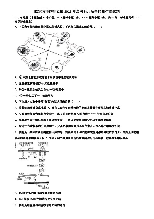 哈尔滨市达标名校2018年高考五月质量检测生物试题含解析