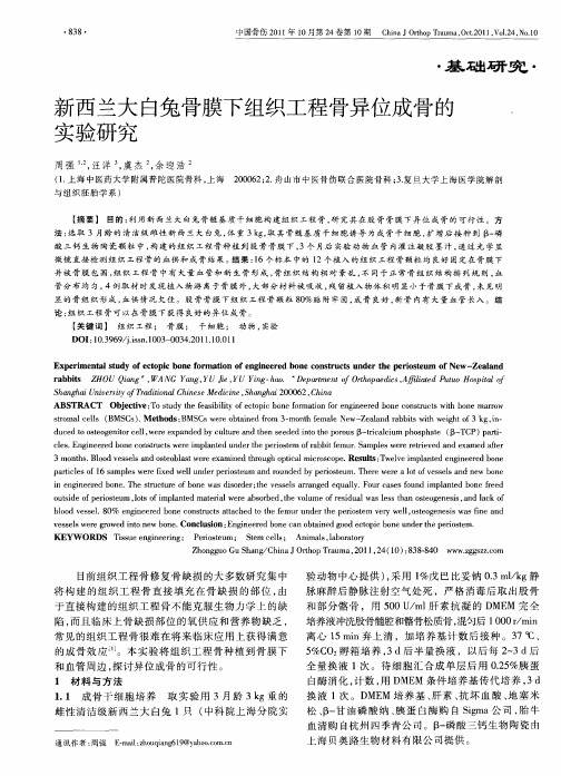 新西兰大白兔骨膜下组织工程骨异位成骨的实验研究