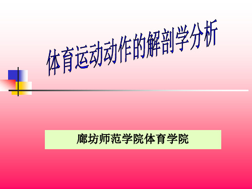 03-10体育运动动作的解剖学分析