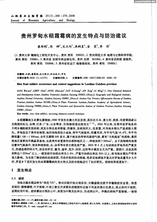 贵州罗甸水稻霜霉病的发生特点与防治建议