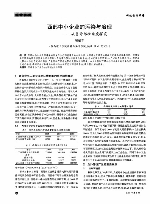 西部中小企业的污染与治理——从负外部性角度探究