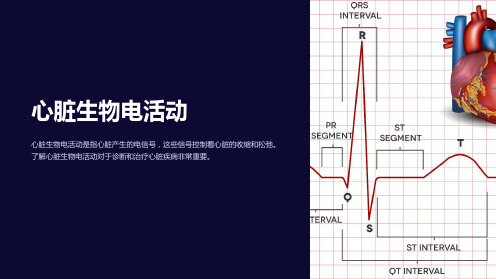 心脏生物电活动