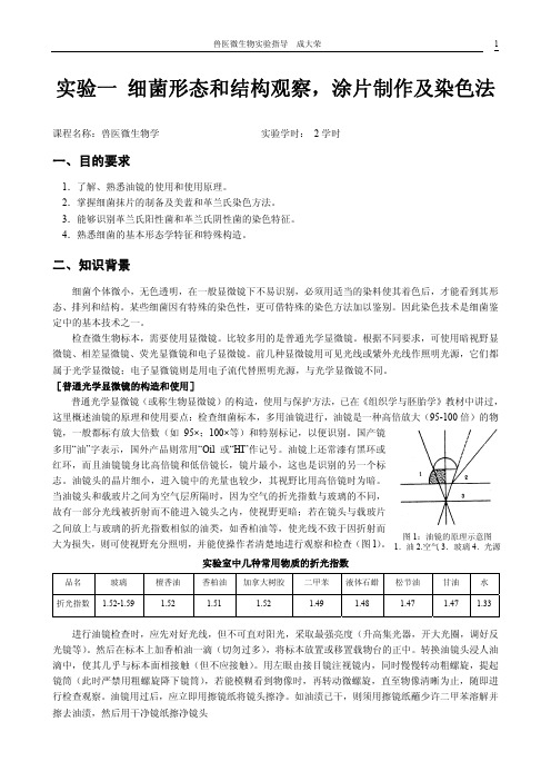 实验一细菌形态和结构观察，涂片制作及染色法