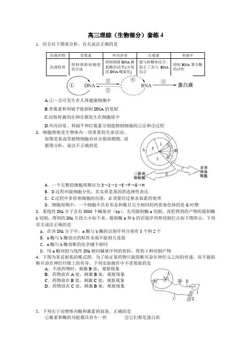 河北省邢台市第二中学2015届高三理综生物套练4