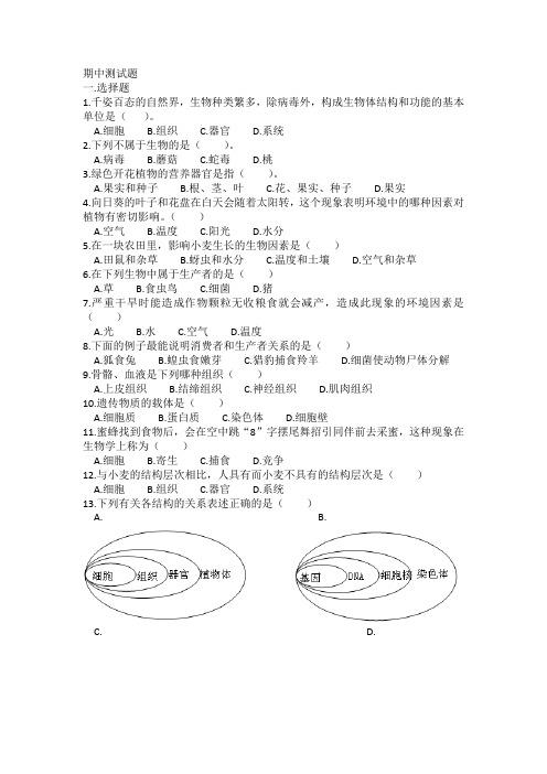 六年级上生物期中试题