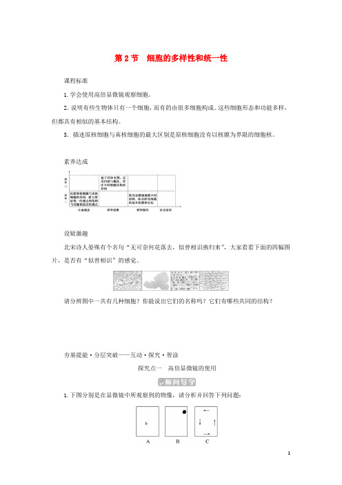 2023新教材高中生物第1章走近细胞第2节细胞的多样性和统一性课堂互动探究案新人教版必修1