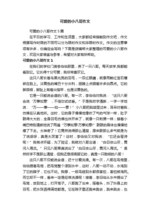 可爱的小八哥作文