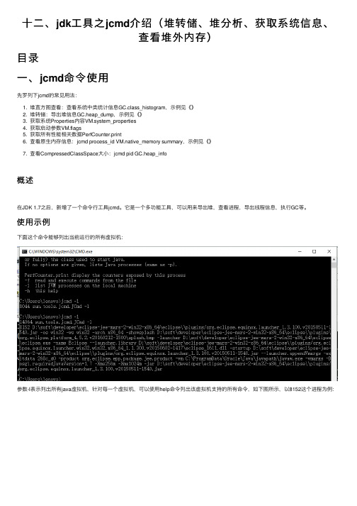 十二、jdk工具之jcmd介绍（堆转储、堆分析、获取系统信息、查看堆外内存）