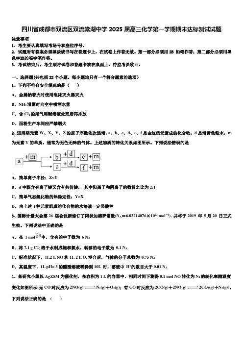 四川省成都市双流区双流棠湖中学2025届高三化学第一学期期末达标测试试题含解析