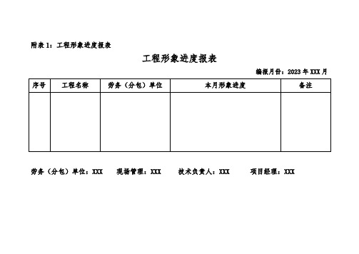 工程形象进度报表