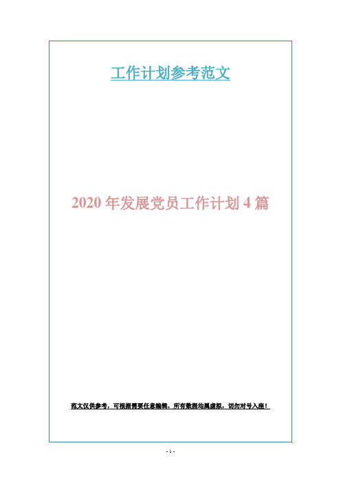 2020年发展党员工作计划4篇