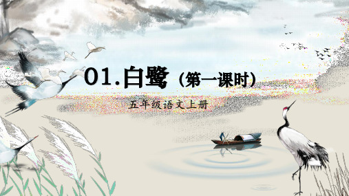 统编版五年级语文上册第1课白鹭课件(共39张PPT)