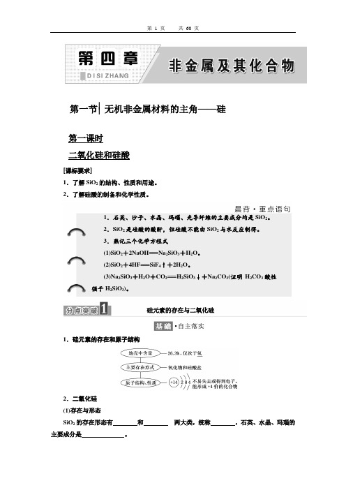 高三化学一轮复习第四章非金属及其化合物资料