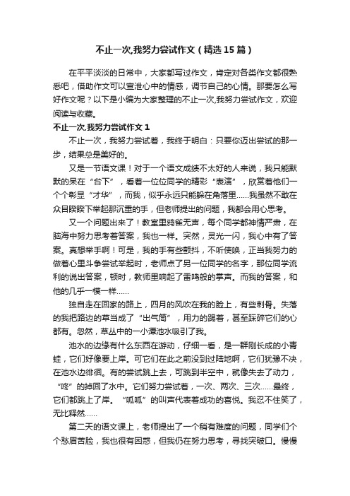 不止一次,我努力尝试作文（精选15篇）