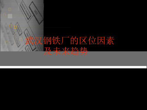 武汉钢铁厂区位因素及未来发展趋势