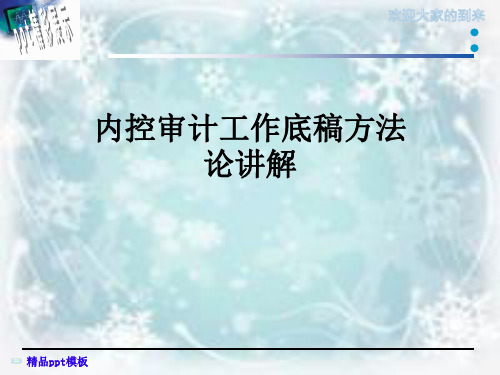 内控审计工作底稿方法论讲解