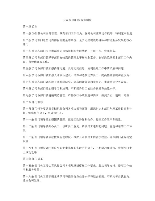 公司级 部门级规章制度