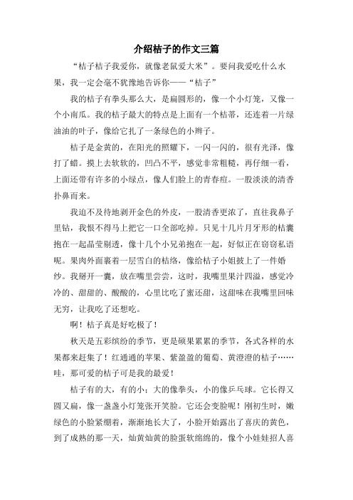 介绍桔子的作文三篇