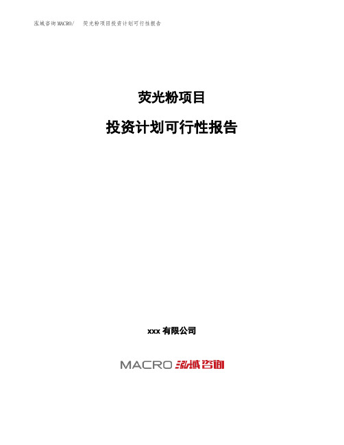 荧光粉项目投资计划可行性报告