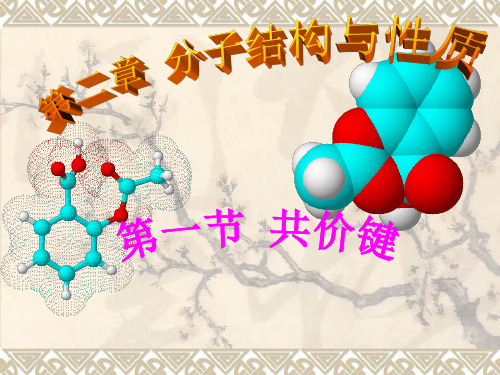 第二章第一节 共价键