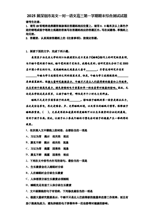 2025届深圳市龙文一对一语文高三第一学期期末综合测试试题含解析