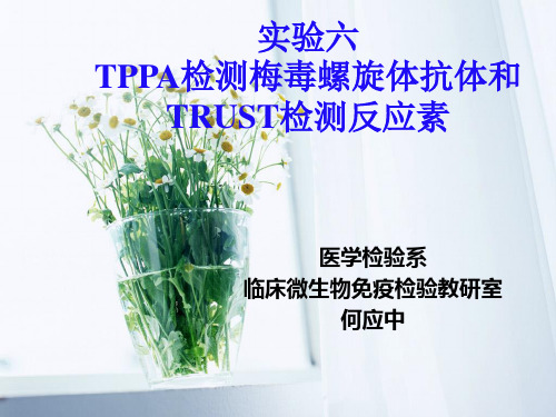 6 实验六  TPPA检测梅毒螺旋体抗体和TRUST检测反应素