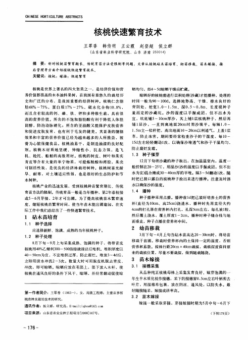 核桃快速繁育技术