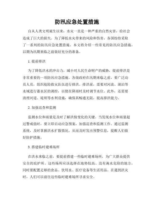 防汛应急处置措施