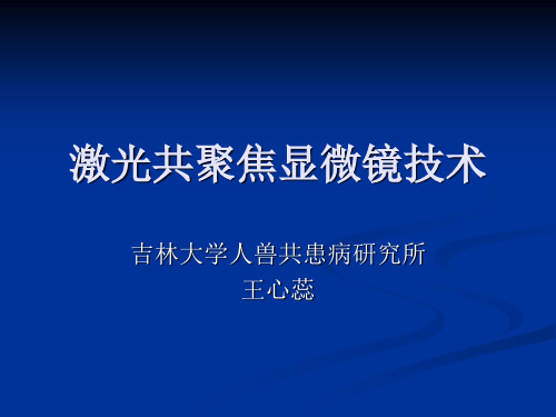 激光共聚焦显微镜技术