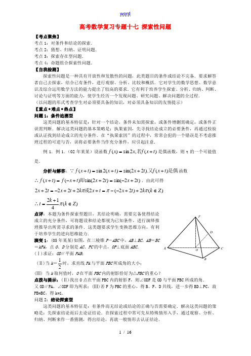 高考数学复习专题十七 探索性问题