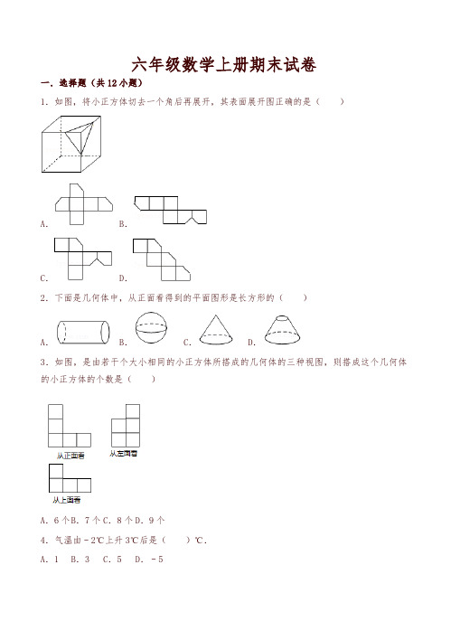 鲁教版六年级上册数学期末试卷-精编