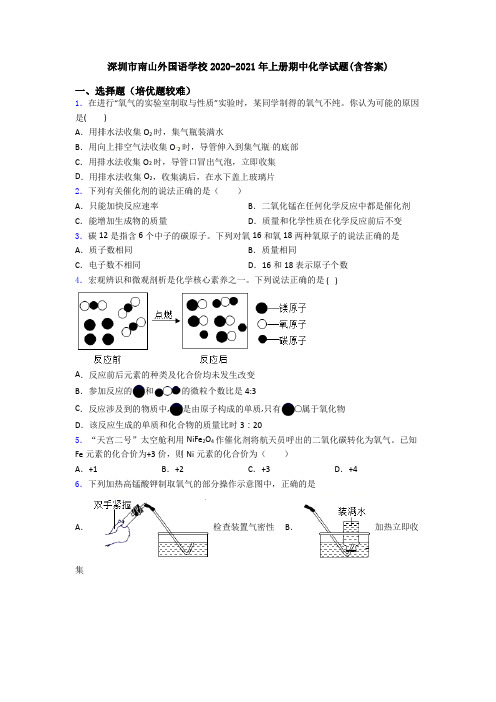 深圳市南山外国语学校2020-2021年上册期中化学试题(含答案)