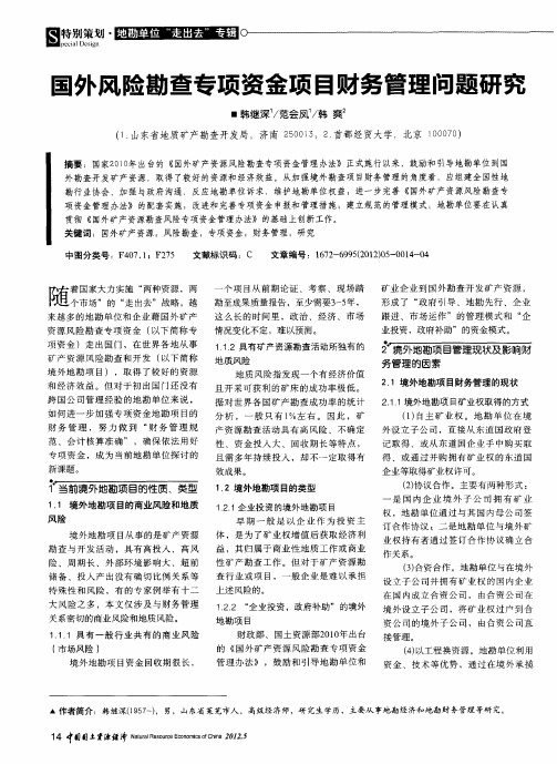 国外风险勘查专项资金项目财务管理问题研究