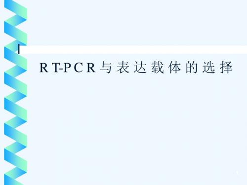 RT-PCR原理及载体选择