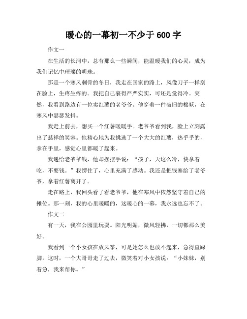 暖心的一幕初一不少于600字