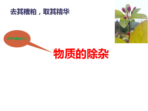 人教版九年级化学中考专题《物质的分离与提纯》复习课件