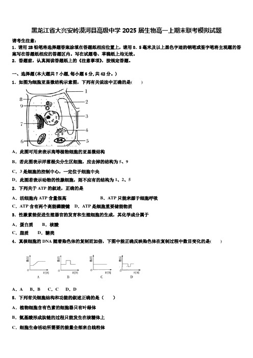 黑龙江省大兴安岭漠河县高级中学2025届生物高一上期末联考模拟试题含解析