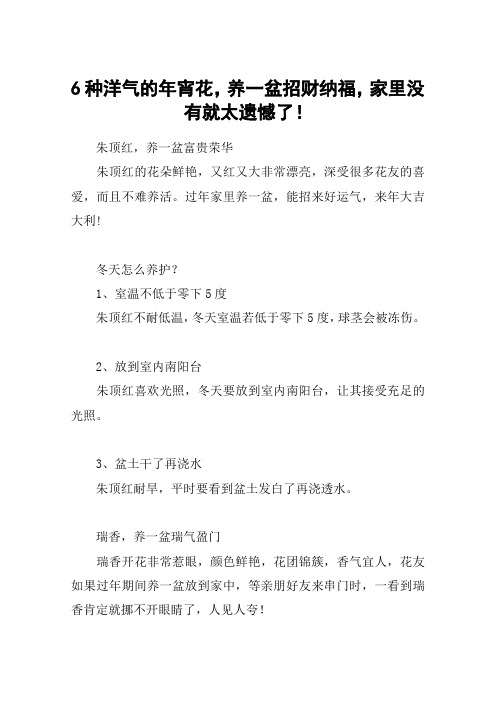 6种洋气的年宵花,养一盆招财纳福,家里没有就太遗憾了!