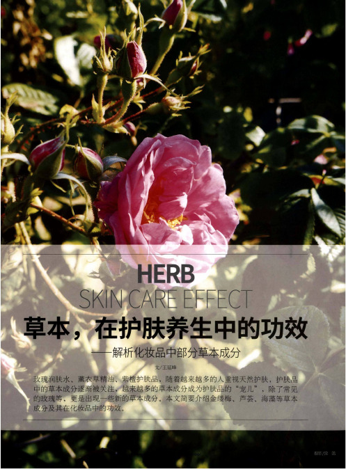 草本,在护肤养生中的功效——解析化妆品中部分草本成分