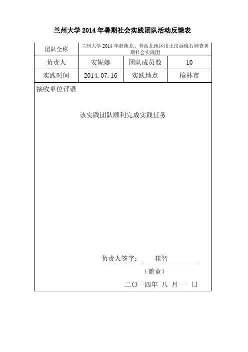 兰州大学暑期社会实践团队活动反馈表