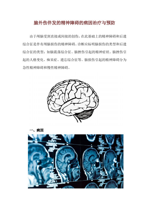 脑外伤伴发的精神障碍的病因治疗与预防