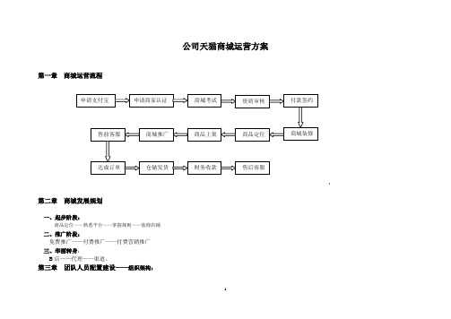 天猫商城运营方案