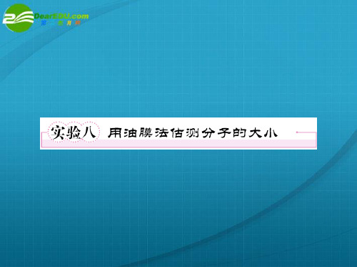 高考物理 实验8用油膜法估测分子的大小课件 新人教版