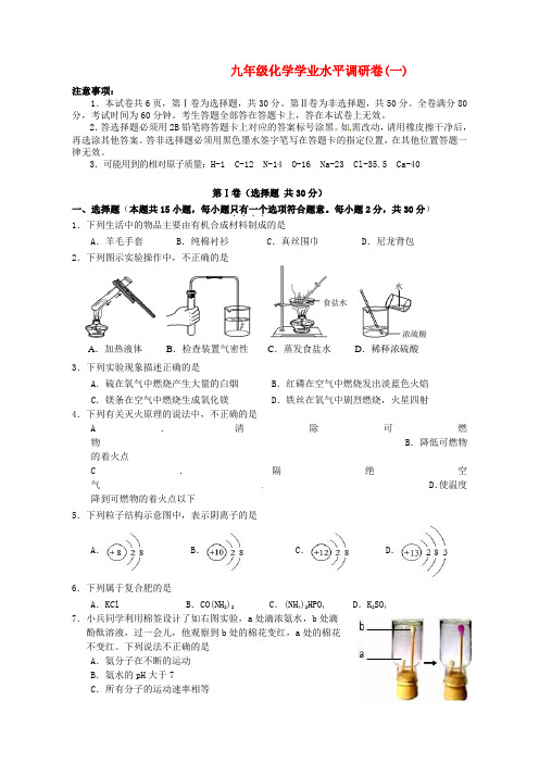 江苏省南京市江宁区2016届九年级化学第一次模拟试题