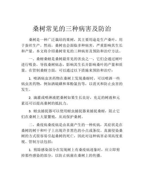 桑树常见的三种病害及防治