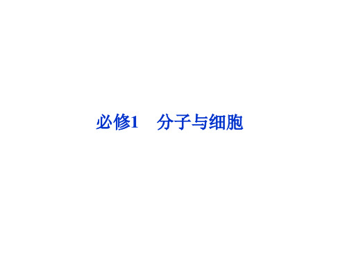 【优化方案 人教】2015届高考生物一轮复习课件 必修1第一章