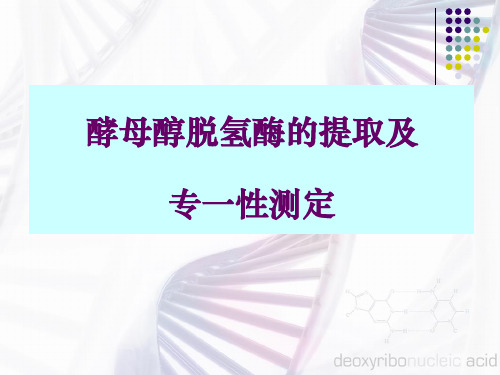 酵母醇脱氢酶的提取及专一性测定(精)