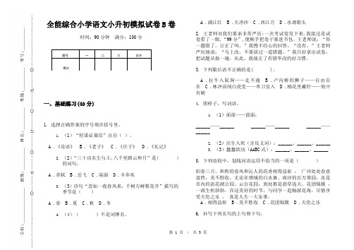 全能综合小学语文小升初模拟试卷B卷