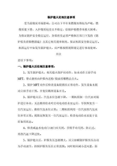 【VIP专享】锅炉熄火后处理注意事项